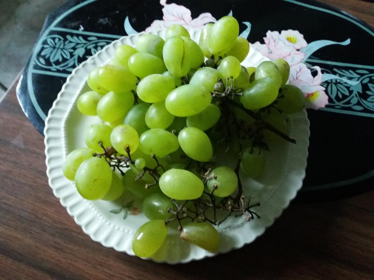 Pashko Vasa Guesthouse Шкодер Екстер'єр фото
